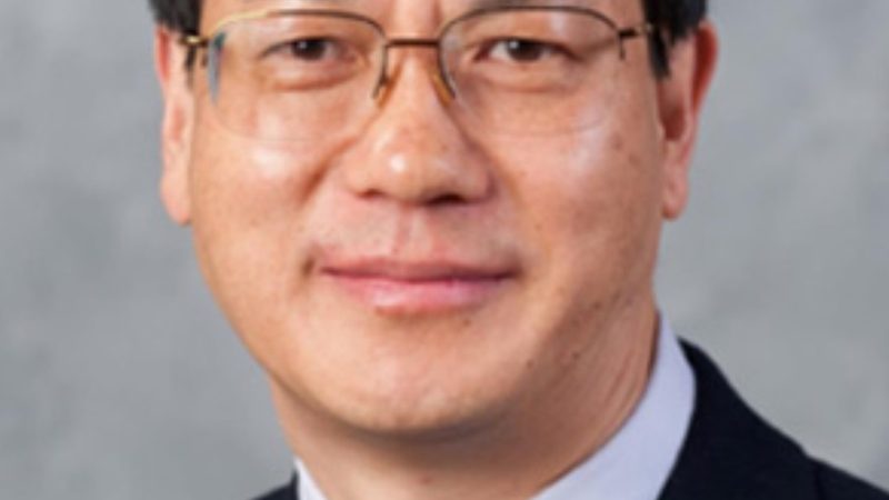 广州电子元器件代工批发：揭秘供应链的枢纽角色