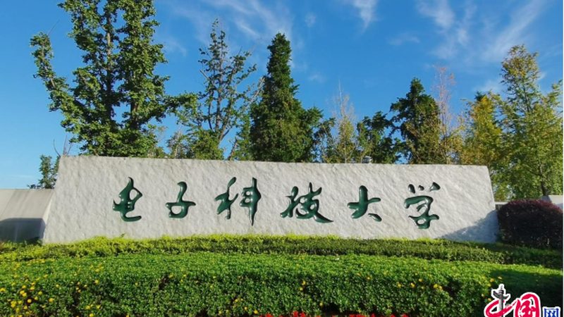 电子模块代工：揭秘优质代工企业的核心要素**