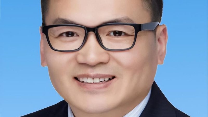 国产芯片，如何找到可靠的厂家？**